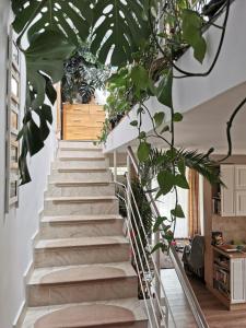 Harmony Haven