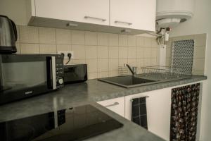 Appartements Le Silene : Appartement 1 Chambre