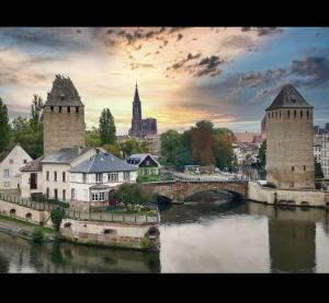 Maisons de vacances Gite L'Ecrin du Ried 