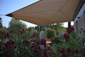 B&B / Chambres d'hotes Villa Otilia-Bed and Breakfast-Chambres d'hotes en Provence : photos des chambres