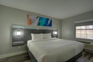 King Room - Non-Smoking - First Level room in Quality Inn & Suites Tampa - Brandon Near Casino