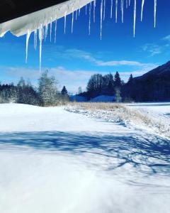 B&B / Chambres d'hotes le chalet de Plainpalais : photos des chambres