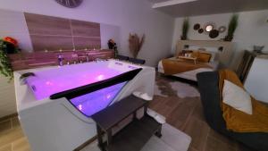 B&B / Chambres d'hotes Grand Studio magnifique avec Spa privatif illimite : photos des chambres