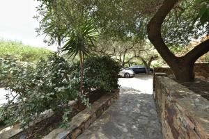 Villa Minda Lodge & View img26