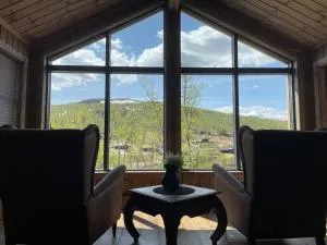 Hjemmekoselig hytte på Rauland - Åmotsdal