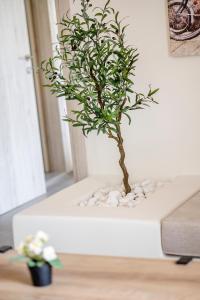 Jonathan City Apartment