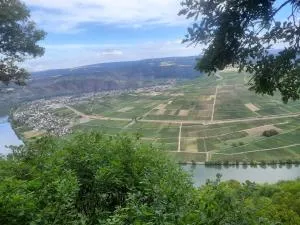 A&A Urlaubswohnung Piesport - 温特里希