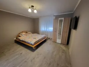 Casa Berzelor - Sînmartin