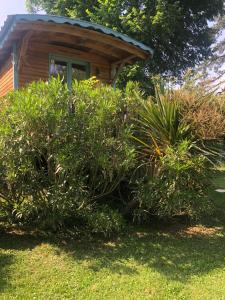 B&B / Chambres d'hotes La Bastide De Negra : photos des chambres