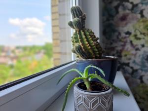 Butas Anykščiuose šeimoms