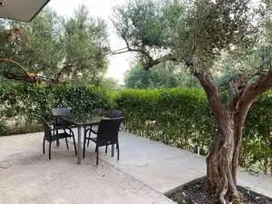 Limenari modern house - Filiatrá