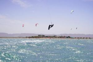 Mangroovy - Delicate 1BR Ground floor by the Pool