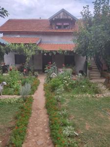 Soko Mara