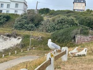 Appartements Appartement 4 personnes Mers Les Bains : photos des chambres