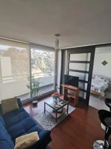 Departamento central Viña del Mar - Población Chorrillos