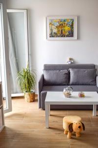 Studio Apartments Anija