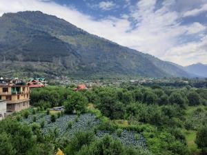 Natures Paradise Dobhi @ Manali