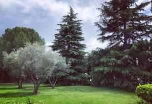 Maisons d'hotes Maison Alice&Eugene : photos des chambres