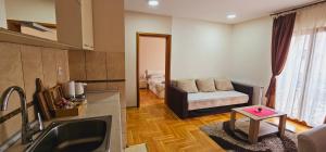 Deluxe Apartment room in Apartments Premija Lux