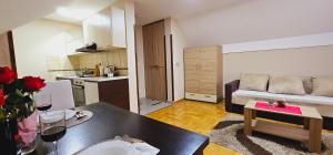 Studio Apartment room in Apartments Premija Lux