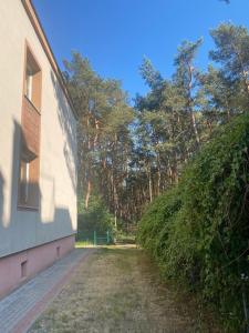 Jurata, Ratibora, przy lesie