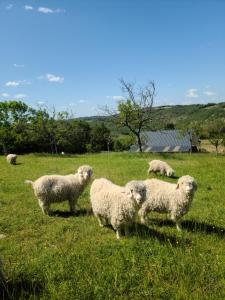 Tentes de luxe Horizon Mohair : photos des chambres