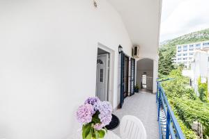 Apartments Vila Nikolić Rafailovići