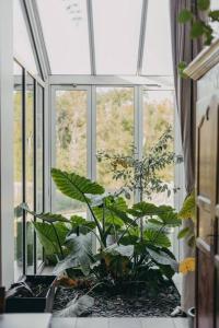 Villas Maison de l'Ouest : photos des chambres
