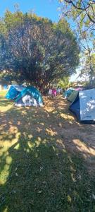 Camping do Cid (no centro)