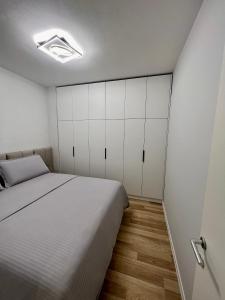 Center of Tirana - Apartment