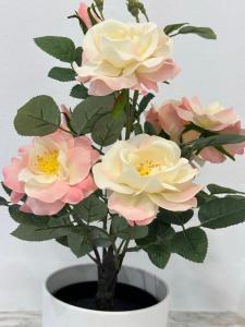 Royal Underground Belgrade