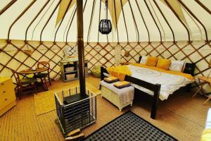 Bronfelen Yurt