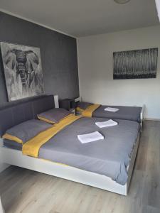 Zale Apartmani