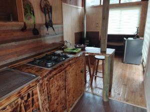 Cabaña laguna los patos