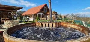 Holiday home in Balatonendred 44893 - Pusztaszemes