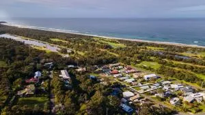 The Spotted Bach - Nowa Nowa