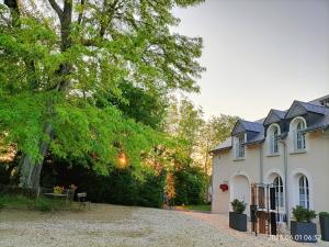 B&B / Chambres d'hotes VILLA ESPERANZA Chambre 2 proche Zoo de Beauval et Chateaux de La Loire : photos des chambres