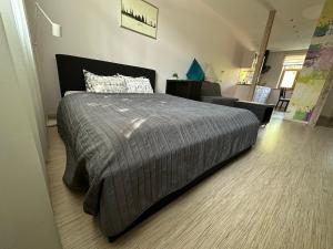 Studio apartment in private house III Construction in house