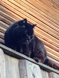 OÜ Jöeääre majutus.