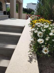 Skiathos Icon- Apartment 3