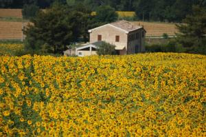 Ferienhaus Ca' Del Cardo Staffolo Italien