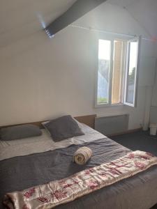 Orleans - Fleury Les Aubrais - gare SNCF