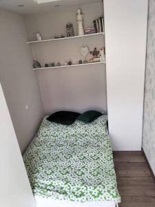 Apartament w sercu Malborka