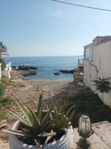 Beachfront apartment