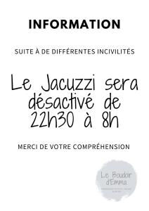 Appartements Le Boudoir d'Emma - Jacuzzi privatif - Detente - Massage : Appartement 1 Chambre