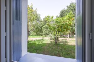 Terrazza Moriani - Charmant appartement à 500m de la mer