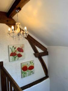 Maisons de vacances Chez Milo, rural cottage : photos des chambres