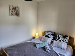 Appartements Gite Bruyere 2 a 6 pers dans Residence des Buis avec SPA : photos des chambres