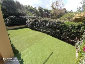 SHR Baia delle Mimose 416 img3