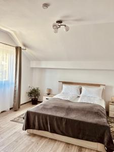 Superior Double Room room in Vila SOFIA